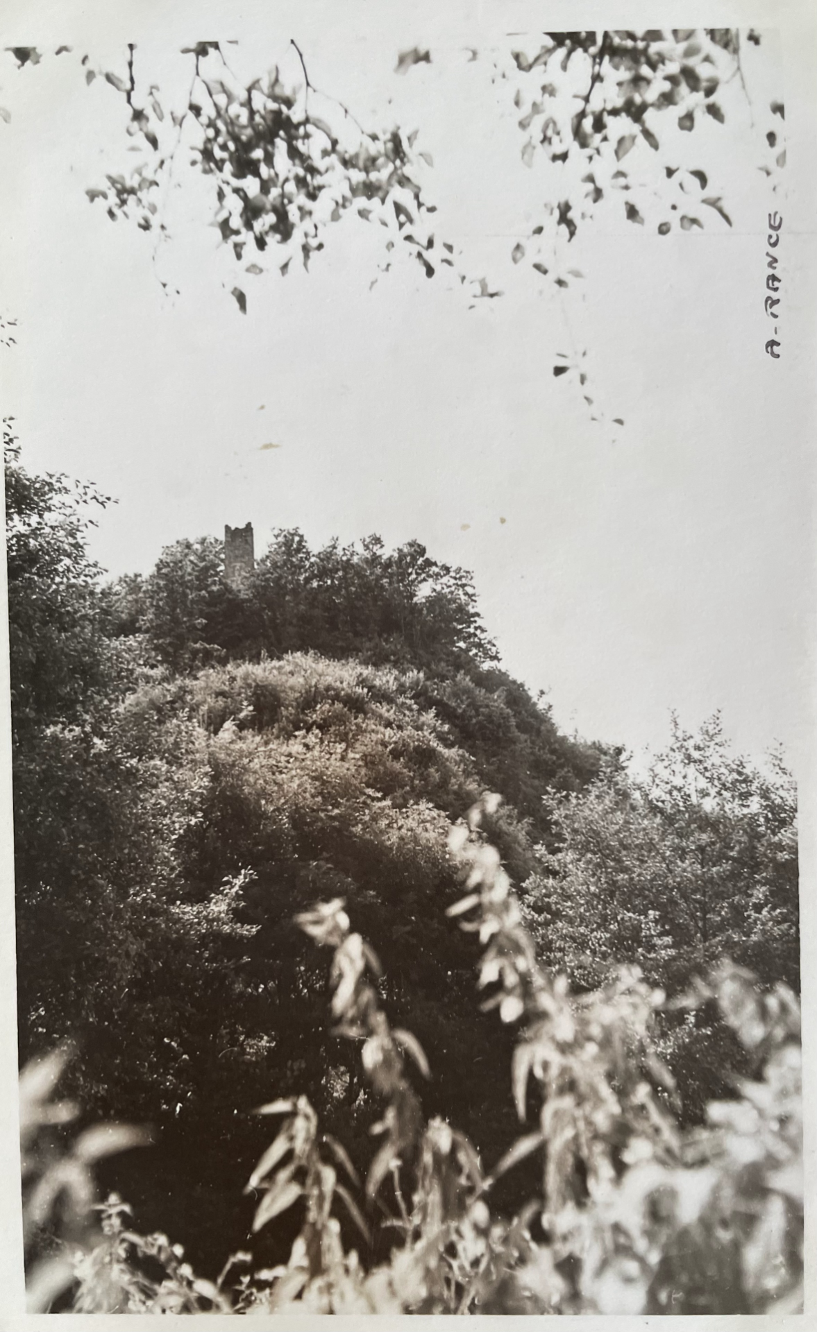 Carte Postale